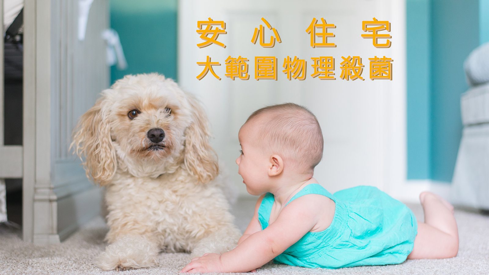 安裝在烘碗機等機器內使用的紫外線燈管