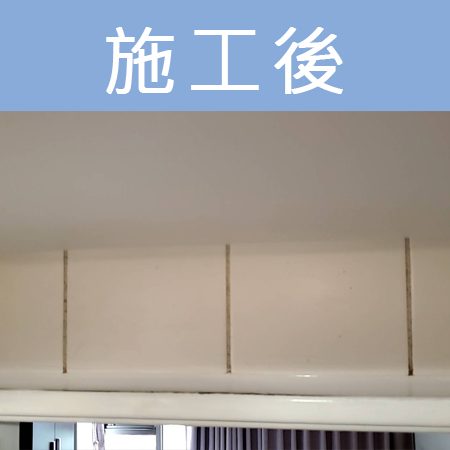 配合工班施打案例：浴室洗手台、馬桶矽利康施作（新北新店）