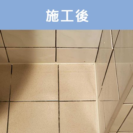 配合工班施打案例：浴室馬桶、浴缸矽利康施作（新北板橋）