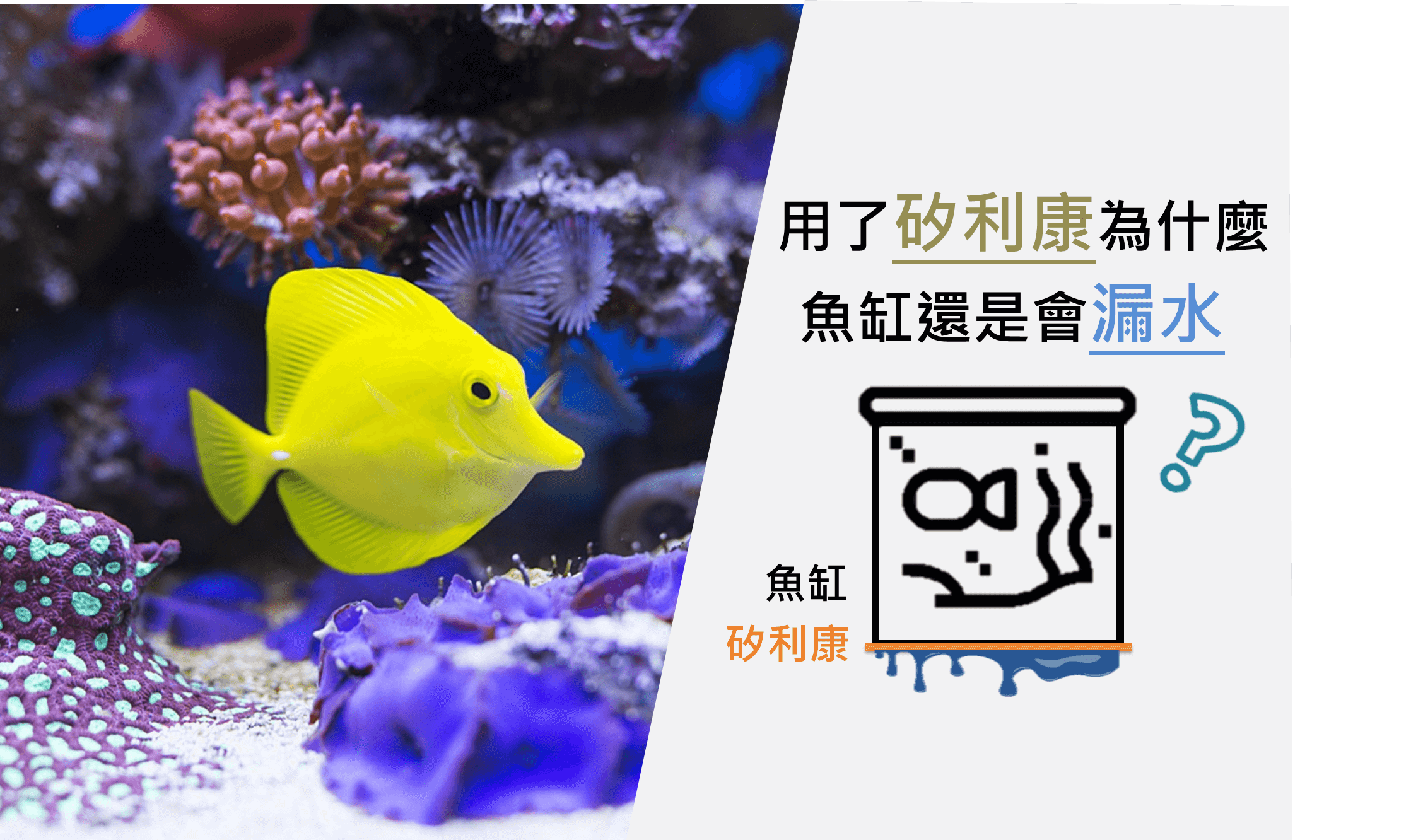 DOWSIL™ GP Plus高效黏結矽酮密封膠，長時間泡水環境0滲漏，適用於魚缸黏合補強
