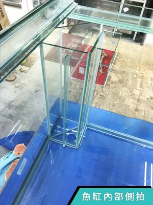魚鄉水族—玻璃魚缸組裝