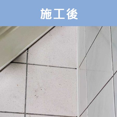 配合工班施打案例：浴室馬桶、浴缸矽利康施作（新北板橋）